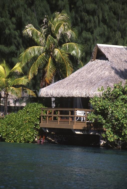 Islands;huts;ocean;palm trees;blue;water;sky;manihi;french polynesia;moorea